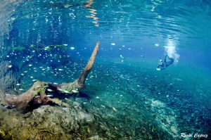 Olho d'Agua river by Raoul Caprez 